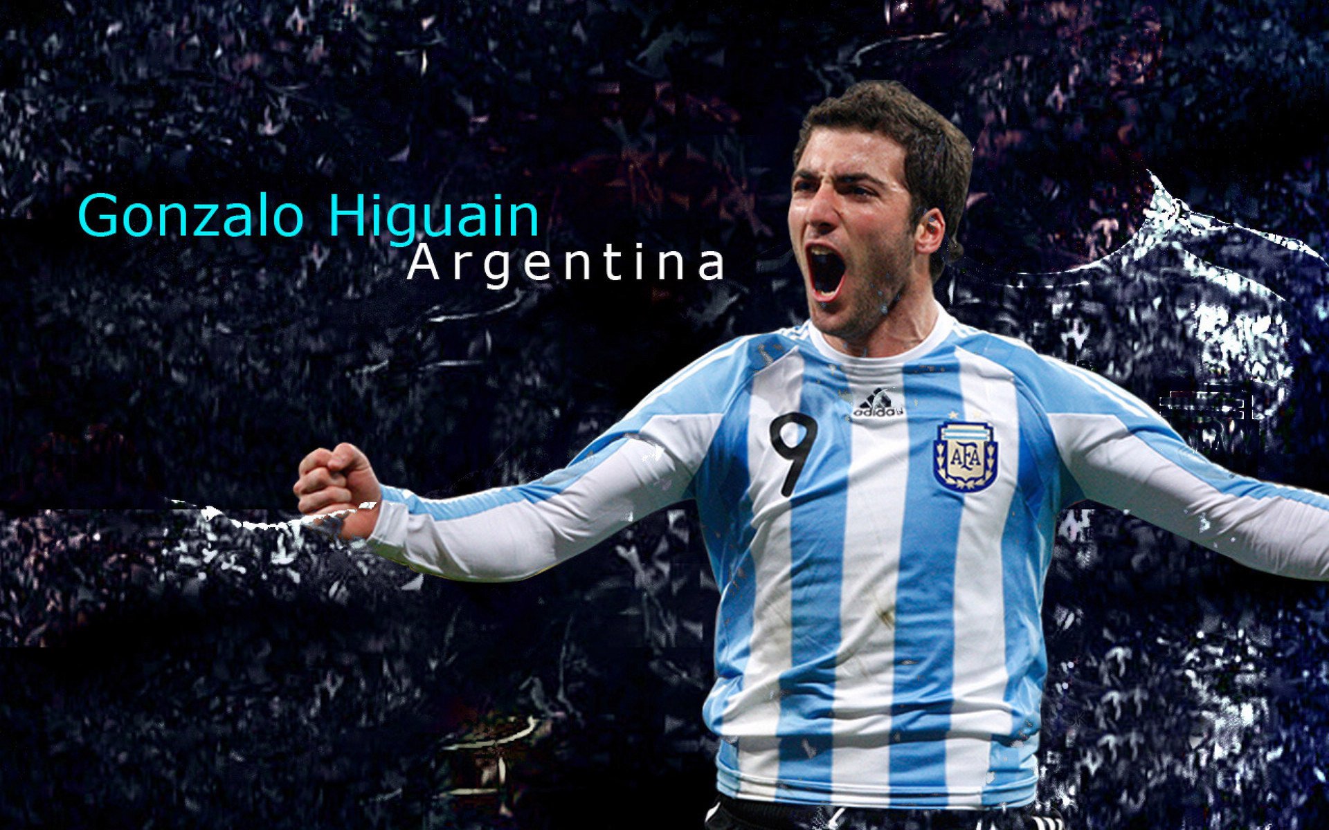 蝶泳名将再创世界纪录,泳坛新星闪耀国际赛场